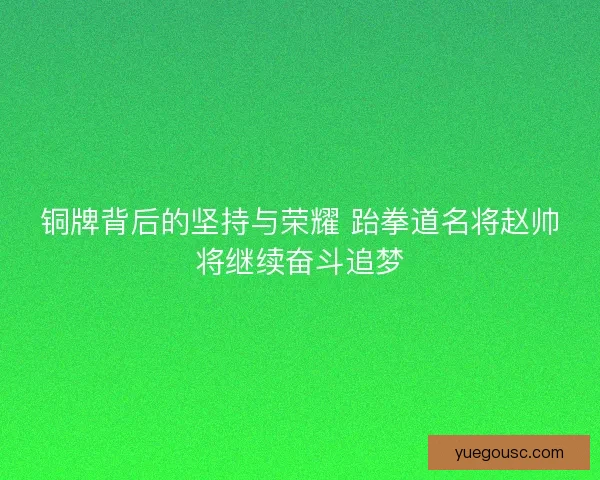 铜牌背后的坚持与荣耀 跆拳道名将赵帅将继续奋斗追梦