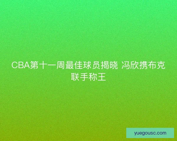 CBA第十一周最佳球员揭晓 冯欣携布克联手称王